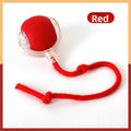 MIETO Interactive Motion Cat Ball