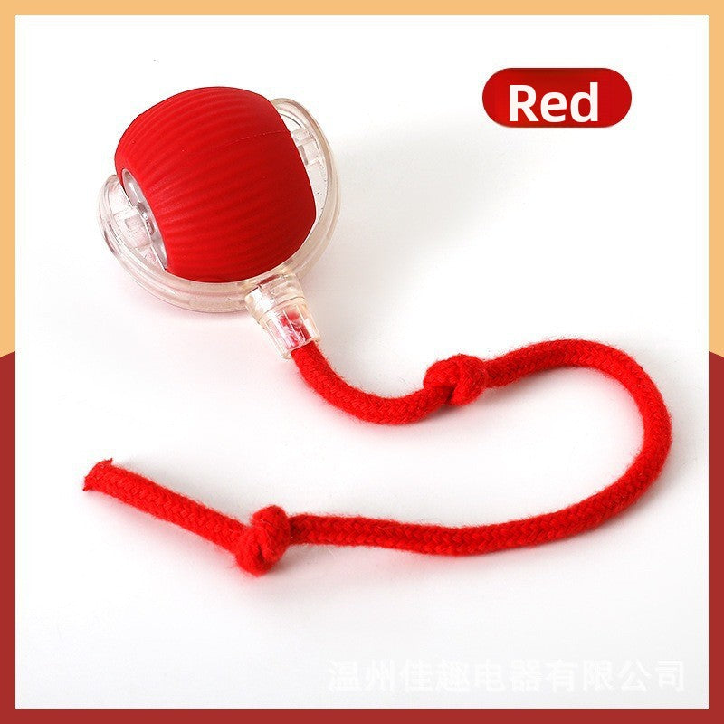 MIETO Interactive Motion Cat Ball